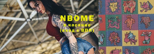 ешки Аркадак