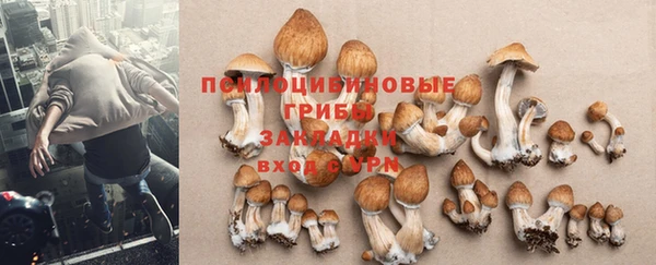 MDMA Арсеньев