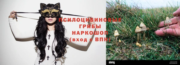 ешки Армянск