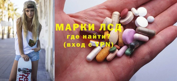 ешки Аркадак