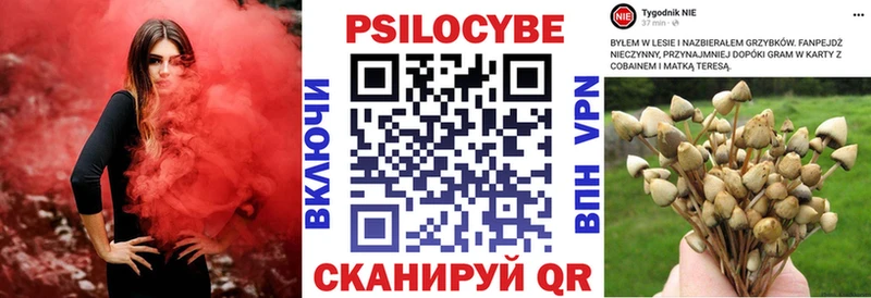 где продают   Усть-Кут  гидра вход  Галлюциногенные грибы Psilocybe 